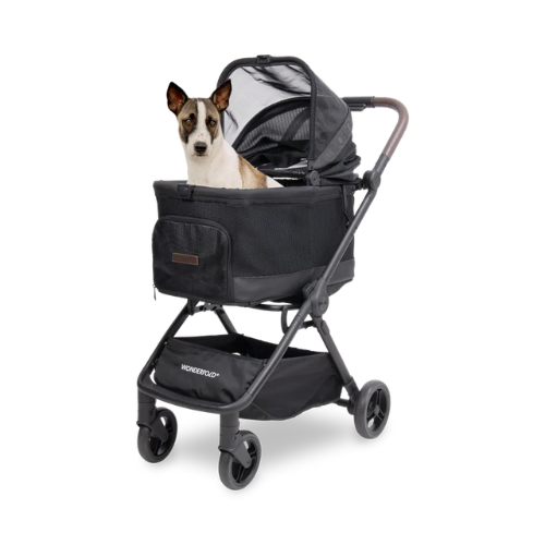 PetCruise