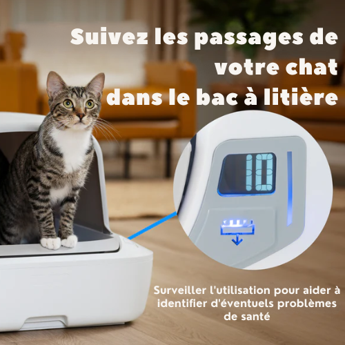 Littervia