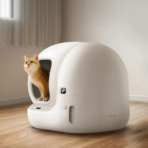 Pawzen