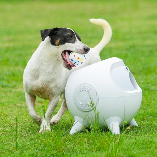 PlayFetch