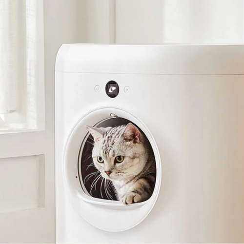 CleanPaw