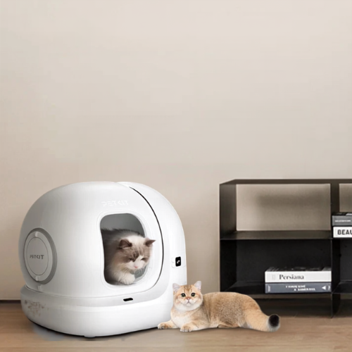 Pawzen