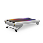 SmartStep