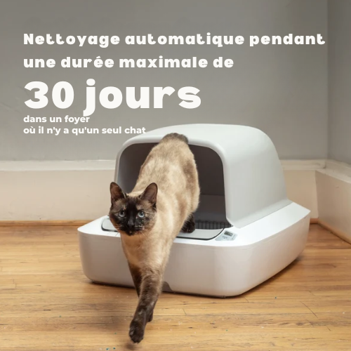 Littervia