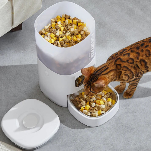 PawMeal