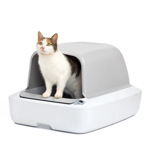 Littervia