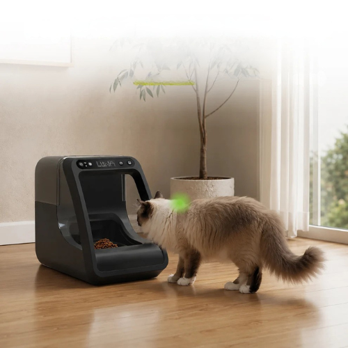 Petfeast