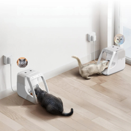 Petfeast
