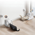 Petfeast